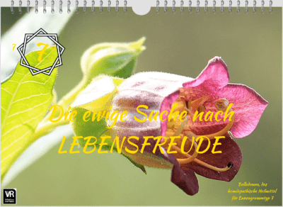 Kalender Typ 7